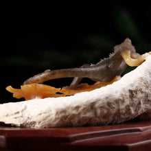 Natural jade carving Chinese Kunlun nephrite jade collectibles