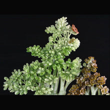 Natural jade carving Chinese Kunlun nephrite jade collectibles