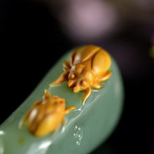 Beetles Bring Wealth