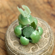 Natural jade carving Chinese Kunlun nephrite jade collectibles