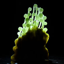 Natural jade carving nephrite collectibles Chinese Kunlun jade