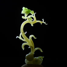 Natural jade carving nephrite collectibles Chinese Kunlun jade
