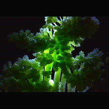 Natural jade carving Chinese Kunlun nephrite jade collectibles