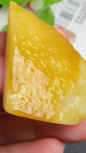 Natural Jade Rough Jadeite Raw