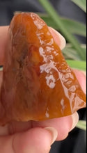 Natural Jade Rough Jadeite Raw