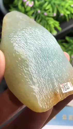 Natural Jade Rough Jadeite Raw
