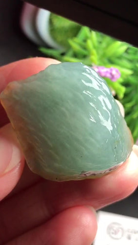 Natural Jade Rough Jadeite Raw