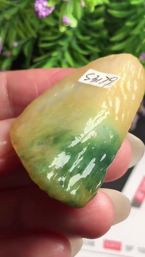 Natural Jade Rough Jadeite Raw
