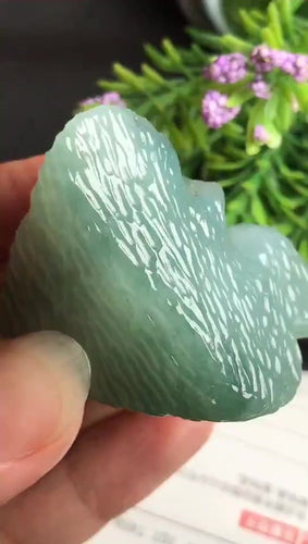 Natural Jade Rough Jadeite Raw