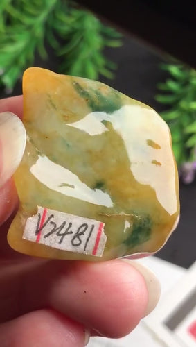 Natural Jade Rough Jadeite Raw