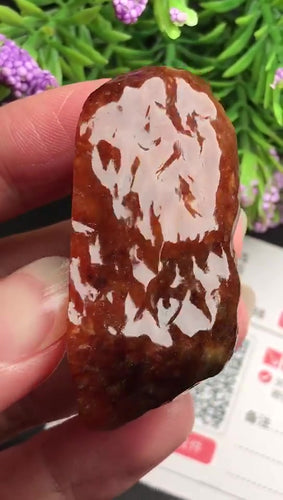Natural Jade Rough Jadeite Raw