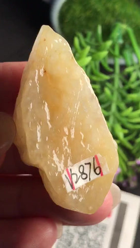 Natural Jade Rough Jadeite Raw