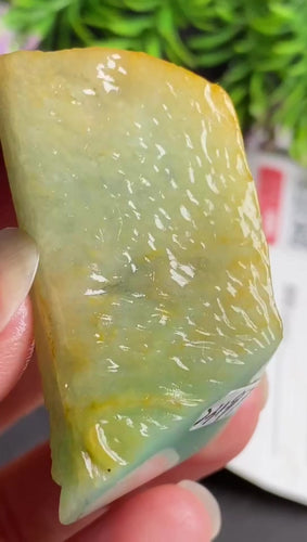 Natural Jade Rough Jadeite Raw