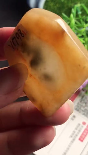Natural Jade Rough Jadeite Raw