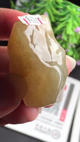 Natural Jade Rough Jadeite Raw