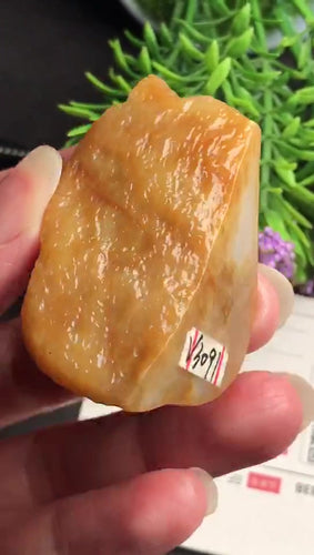 Natural Jade Rough Jadeite Raw