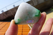 Natural Jade Rough Jadeite Raw