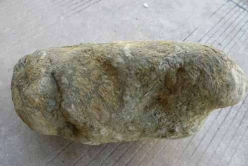 Natural Jade Rough Jadeite Raw