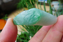 Natural Jade Rough Jadeite Raw