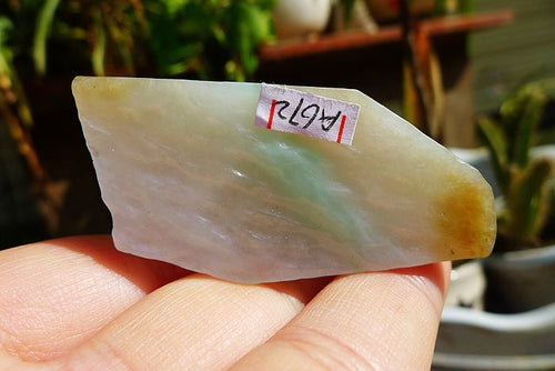 Natural Jade Rough Jadeite Raw