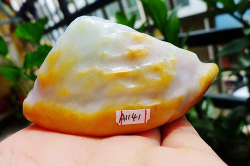 Natural Jade Rough Jadeite Raw