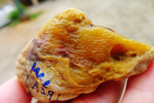 Natural Jade Rough Jadeite Raw