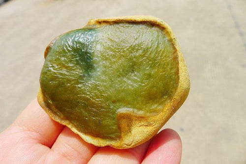 Natural Jade Rough Jadeite Raw