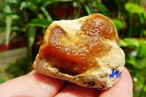 Natural Jade Rough Jadeite Raw