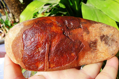 Natural Jade Rough Jadeite Raw