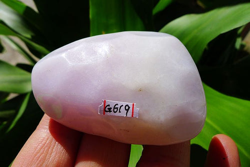 Natural Jade Rough Jadeite Raw