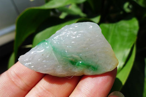 Natural Jade Rough Jadeite Raw