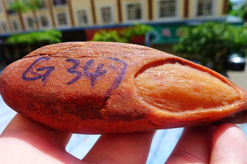 Natural Jade Rough Jadeite Raw