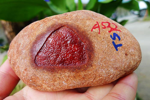 Natural Jade Rough Jadeite Raw