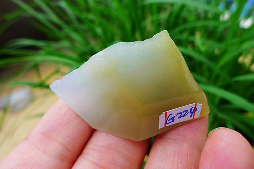 Natural Jade Rough Jadeite Raw