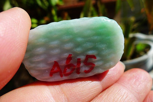 Natural Jade Rough Jadeite Raw