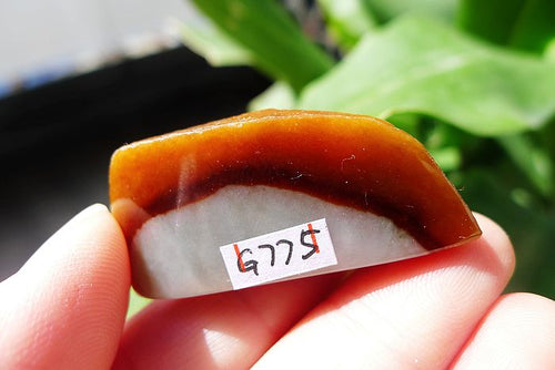 Natural Jade Rough Jadeite Raw