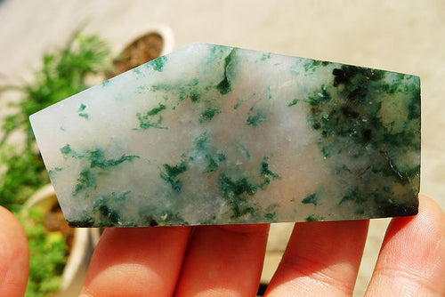 Natural Jade Rough Jadeite Raw