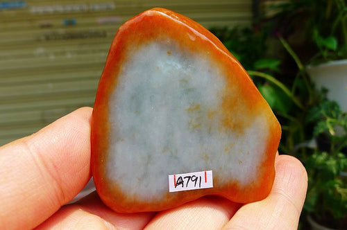 Natural Jade Rough Jadeite Raw
