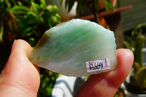 Natural Jade Rough Jadeite Raw