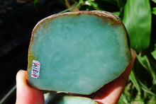 Natural Jade Rough Jadeite Raw