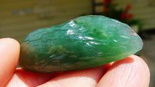 Natural Jade Rough Jadeite Raw