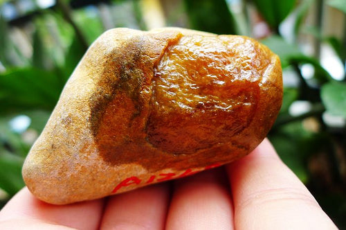 Natural Jade Rough Jadeite Raw