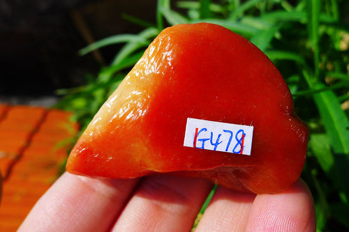 Natural Jade Rough Jadeite Raw