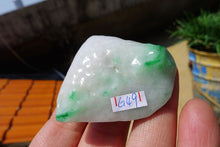 Natural Jade Rough Jadeite Raw