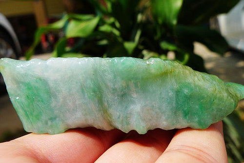 Natural Jade Rough Jadeite Raw