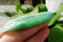 Natural Jade Rough Jadeite Raw