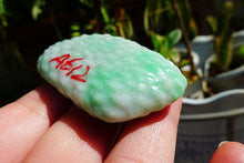 Natural Jade Rough Jadeite Raw