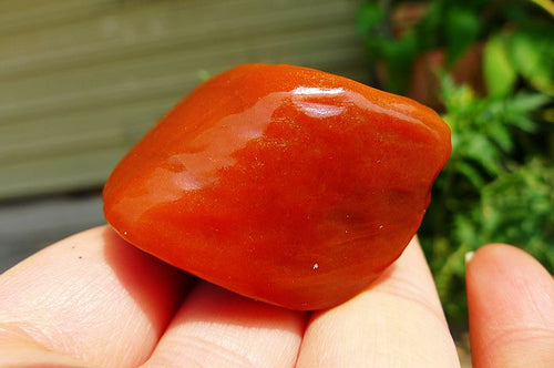 Natural Jade Rough Jadeite Raw