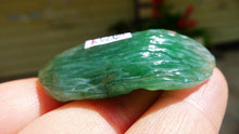 Natural Jade Rough Jadeite Raw