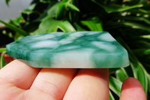 Natural Jade Rough Jadeite Raw (73g,6.9X5.3X0.6cm)